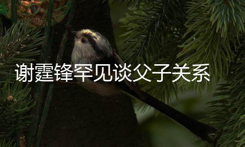 关系见谈解美食谢霆贤和通过亲谢 已与父锋罕父子